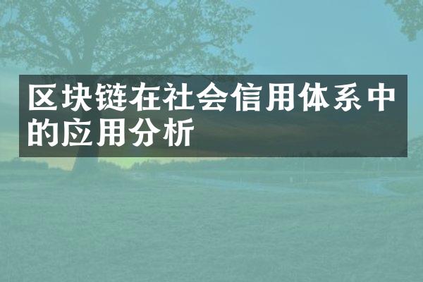 区块链在社会信用体系中的应用分析