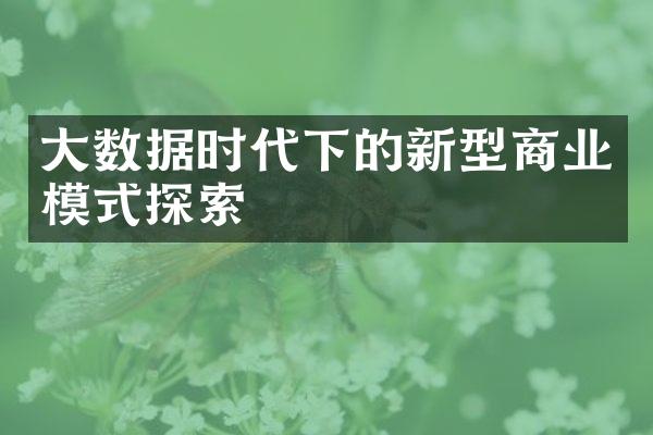 大数据时代下的新型商业模式探索