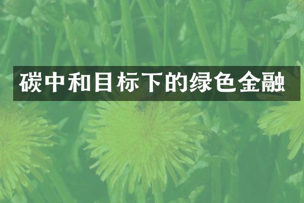 碳中和目标下的绿色金融