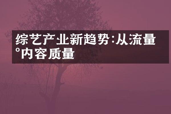 综艺产业新趋势:从流量到内容质量