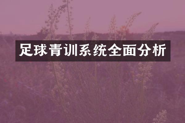 足球青训系统全面分析