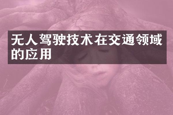 无人驾驶技术在交通领域的应用