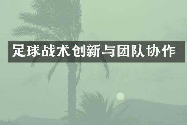 足球战术创新与团队协作