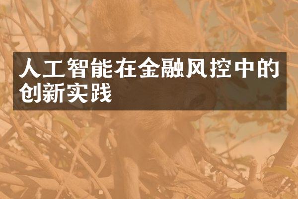 人工智能在金融风控中的创新实践