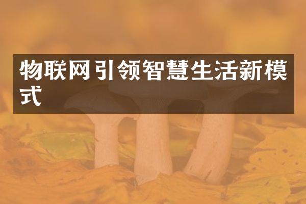 物联网引领智慧生活新模式