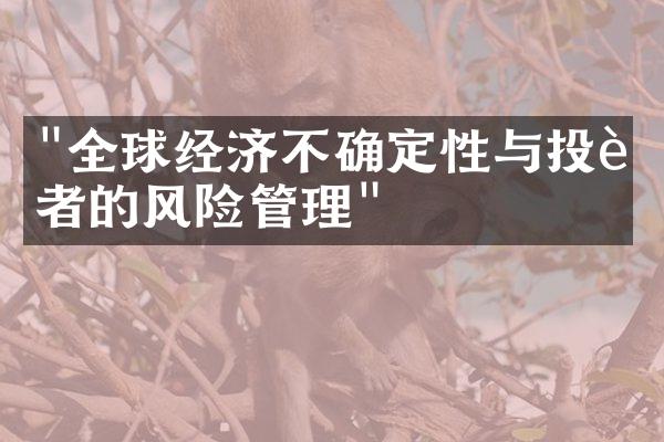 "全球经济不确定性与投资者的风险管理"