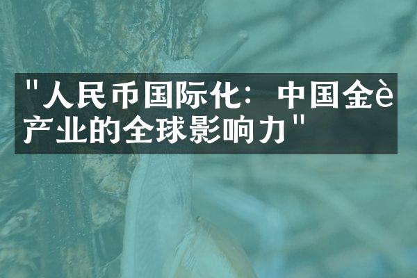 "人民币国际化：中国金融产业的全球影响力"