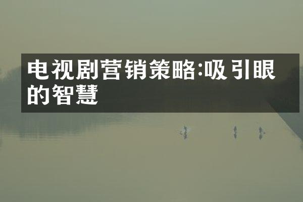 电视剧营销策略:吸引眼球的智慧