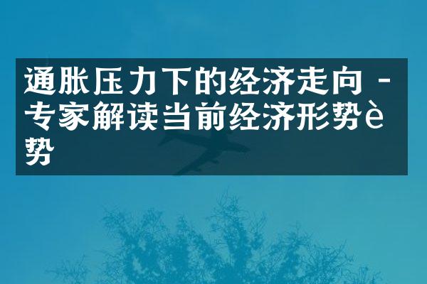 通胀压力下的经济走向 - 专家解读当前经济形势趋势