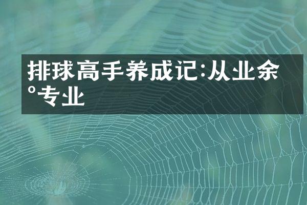 排球高手养成记:从业余到专业