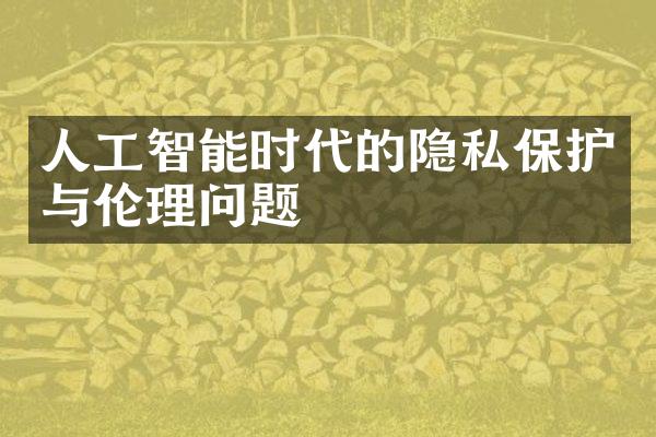 人工智能时代的隐私保护与伦理问题