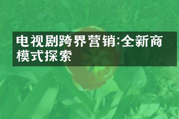 电视剧跨界营销:全新商业模式探索