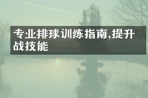 专业排球训练指南,提升实战技能