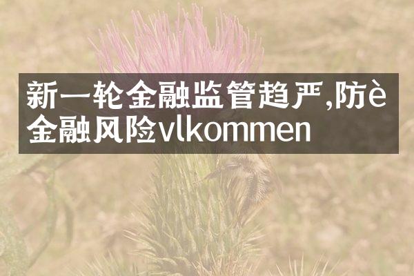 新一轮金融监管趋严,防范金融风险�välkommen