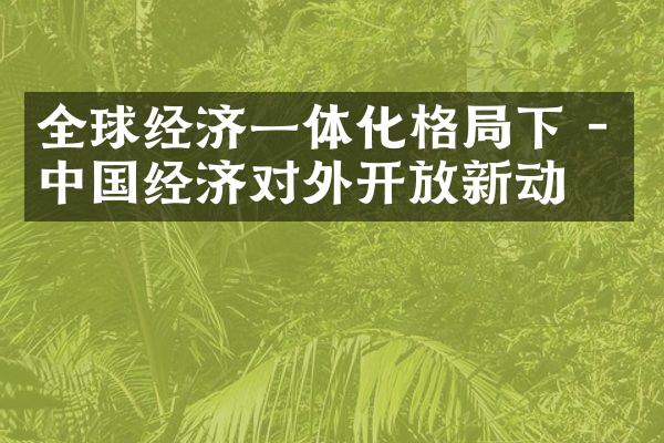 全球经济一体化格局下 - 中国经济对外开放新动向