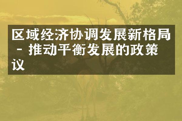 区域经济协调发展新格局 - 推动平衡发展的政策建议