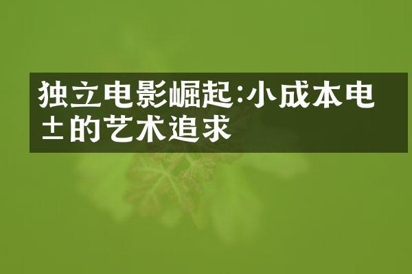 独立电影崛起:小成本电影的艺术追求