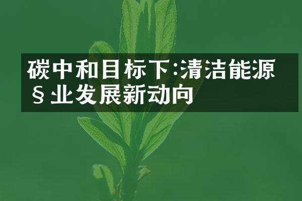 碳中和目标下:清洁能源产业发展新动向