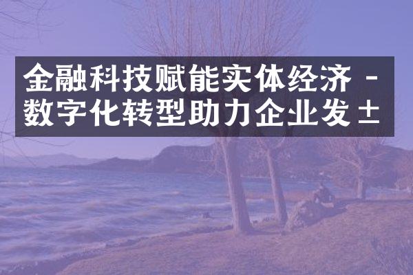 金融科技赋能实体经济 - 数字化转型助力企业发展