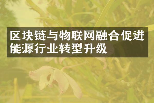 区块链与物联网融合促进能源行业转型升级