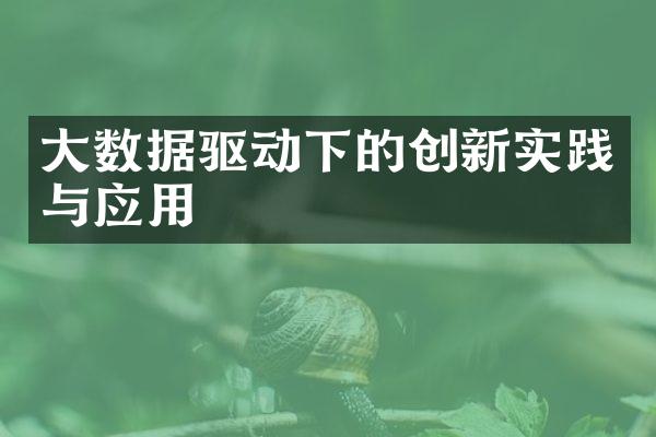 大数据驱动下的创新实践与应用