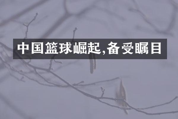 中国篮球崛起,备受瞩目