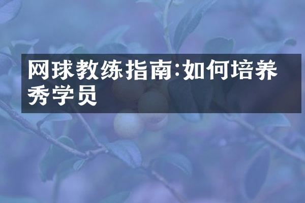 网球教练指南:如何培养优秀学员