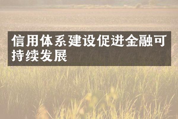 信用体系建设促进金融可持续发展