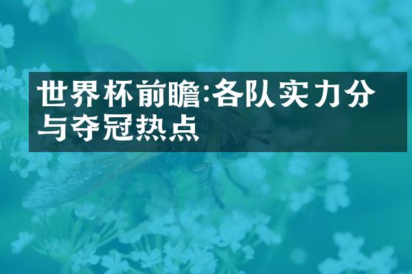 世界杯前瞻:各队实力分析与夺冠热点