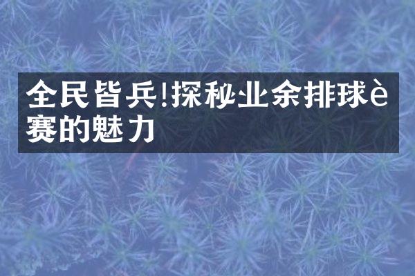 全民皆兵!探秘业余排球联赛的魅力