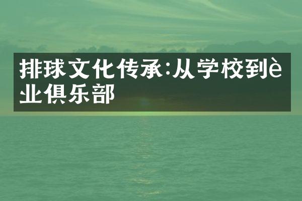 排球文化传承:从学校到职业俱乐部