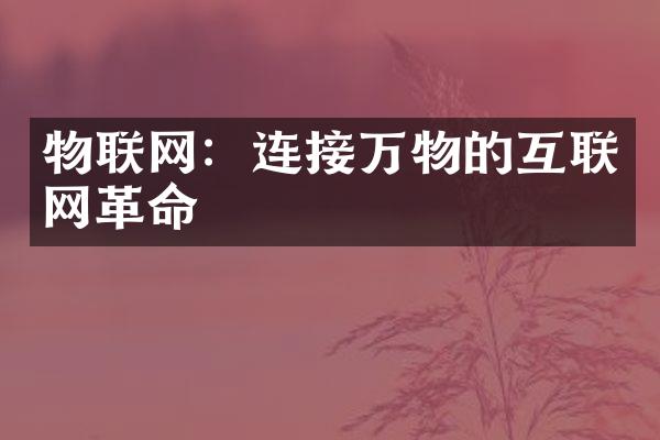 物联网：连接万物的互联网革命