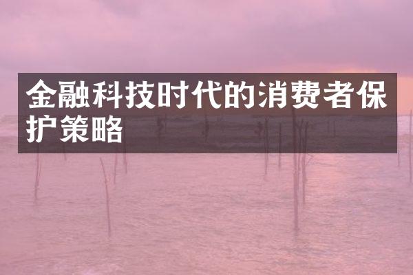 金融科技时代的消费者保护策略