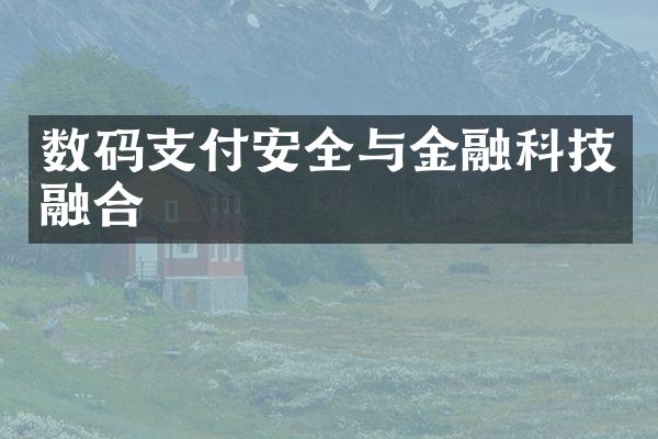 数码支付安全与金融科技融合