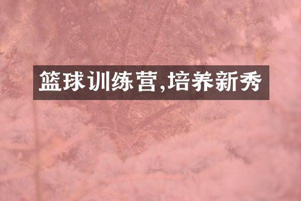 篮球训练营,培养新秀