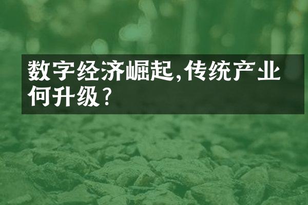 数字经济崛起,传统产业如何升级?