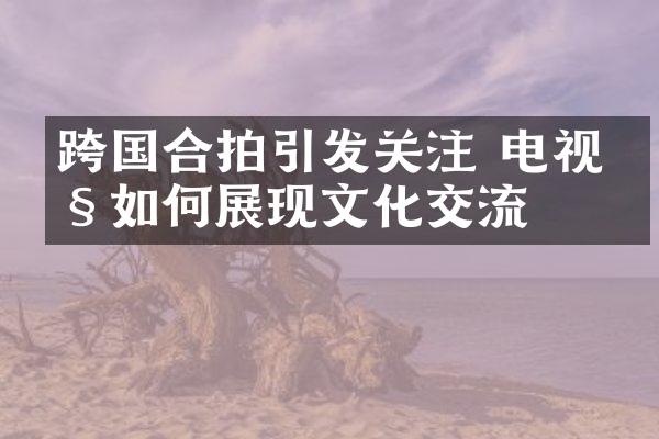 跨国合拍引发关注 电视剧如何展现文化交流