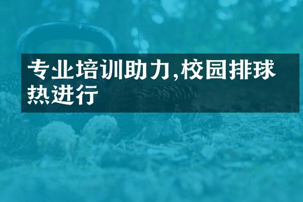 专业培训助力,校园排球火热进行