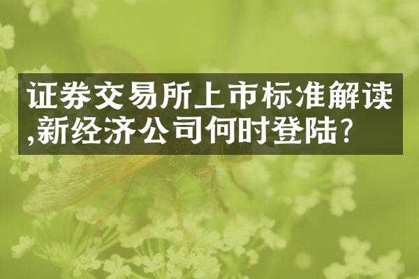 证券交易所上市标准解读,新经济公司何时登陆?