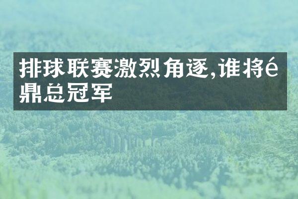 排球联赛激烈角逐,谁将问鼎总冠军