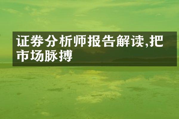 证券分析师报告解读,把握市场脉搏