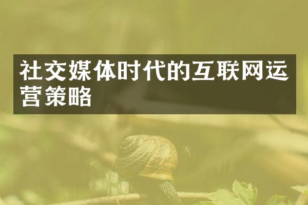 社交媒体时代的互联网运营策略