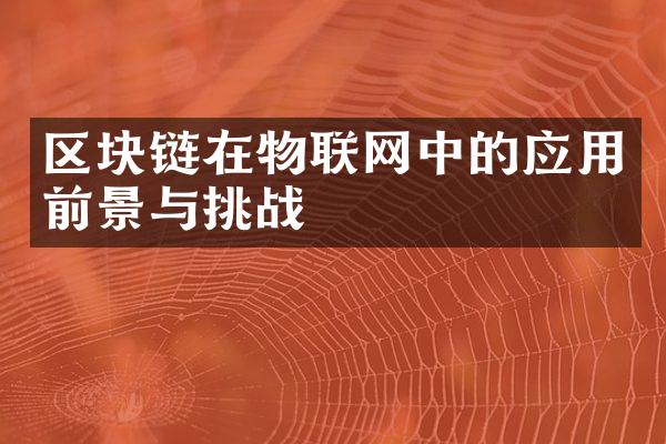 区块链在物联网中的应用前景与挑战