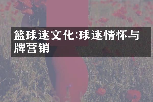 篮球迷文化:球迷情怀与品牌营销