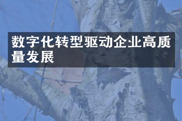 数字化转型驱动企业高质量发展