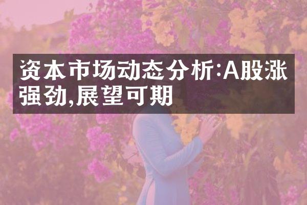 资本市场动态分析:A股涨势强劲,展望可期