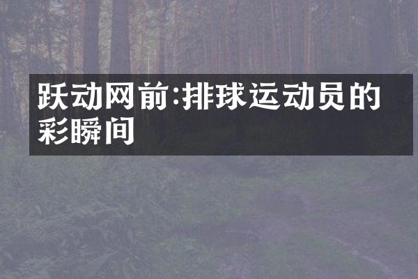 跃动网前:排球运动员的精彩瞬间