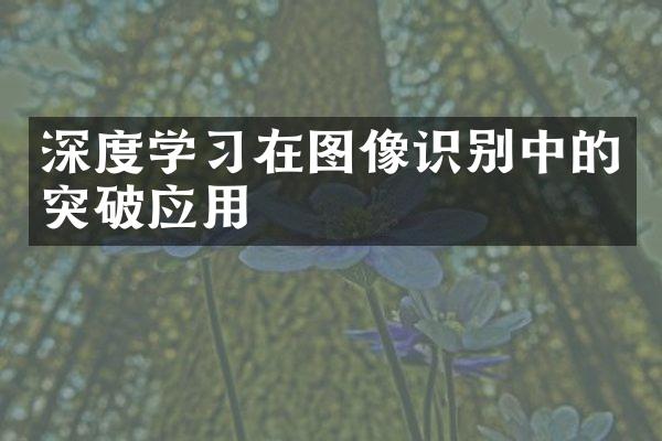 深度学习在图像识别中的突破应用