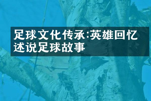 足球文化传承:英雄回忆录述说足球故事