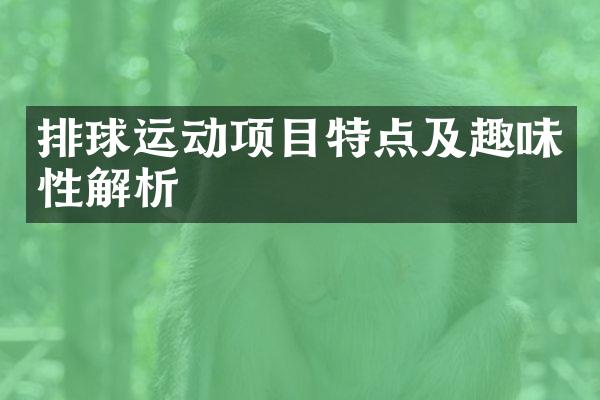 排球运动项目特点及趣味性解析